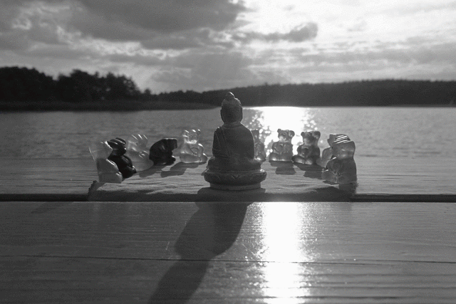 Buddha-Bärchen meditieren am See - meditasting